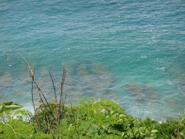 DSC07312.JPG - 2016屏東小琉球之行