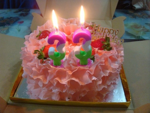 DSC06092.JPG - 2016 Today is my birthday ^^