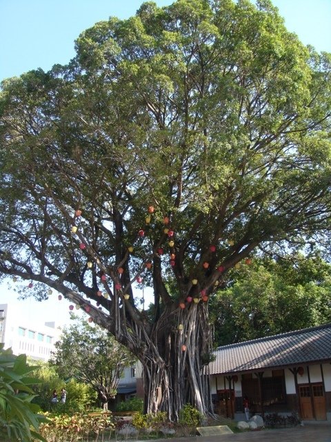 DSC04578.JPG - 台中東東芋圓.勤美誠品.刑務所演武場之行
