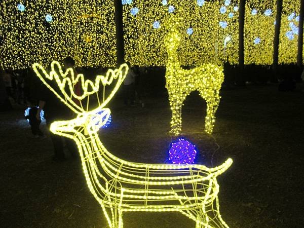 2023漢神巨蛋和高雄中央公園聖誕之行