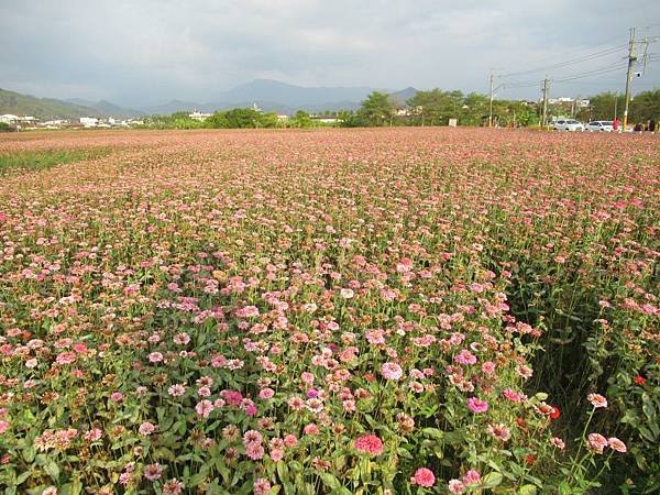 2024旗山老街和美濃花海節