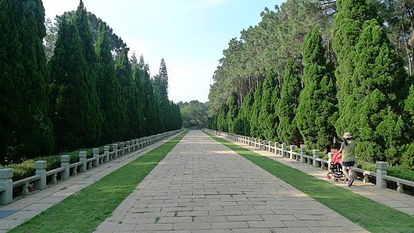 P1360141.JPG