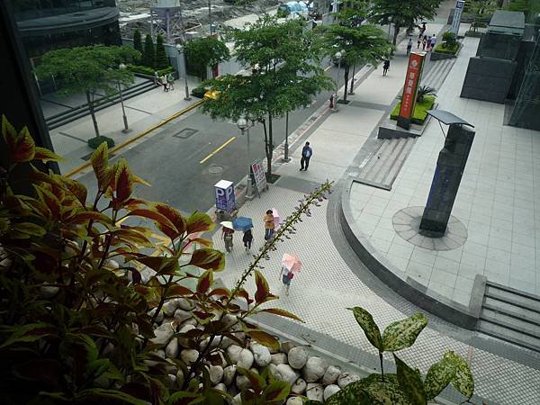 P1110805.JPG