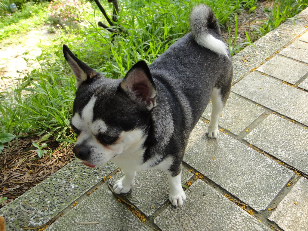 DSC05159.JPG
