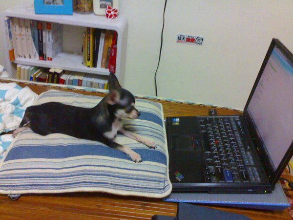 20091004081.jpg
