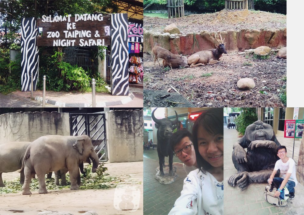 Taiping_zoo.jpg