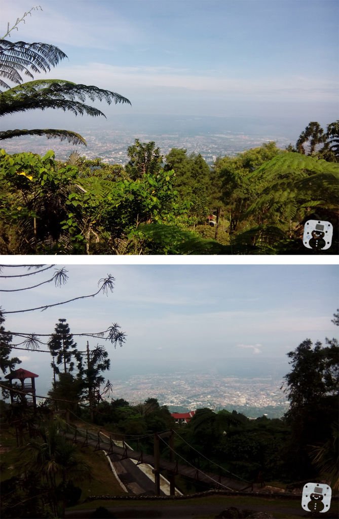 Bukit_Larut.jpg