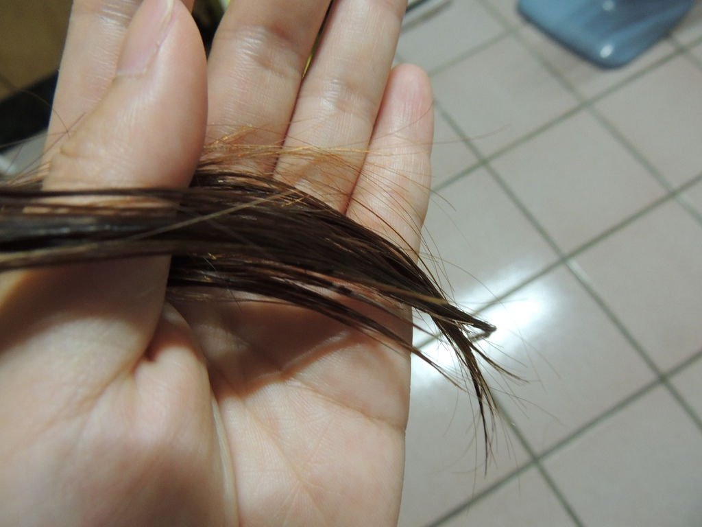 DSCN4485.JPG