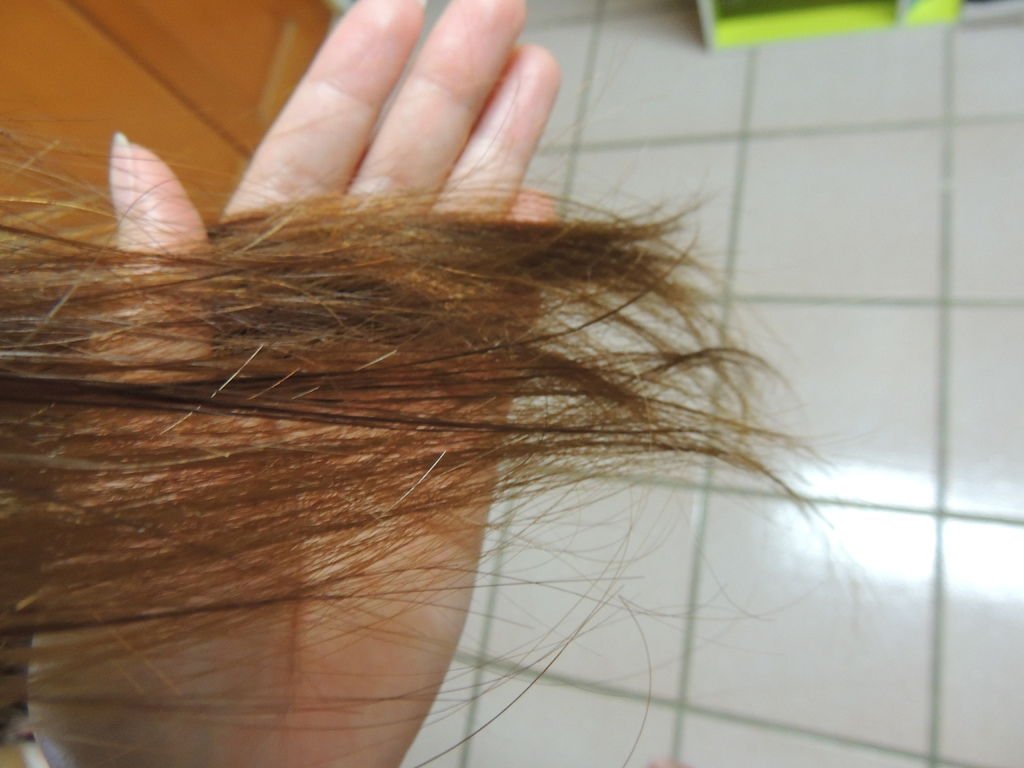 DSCN4489.JPG