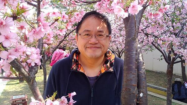 新竹麗池賞櫻