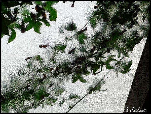 P1130121-1.jpg