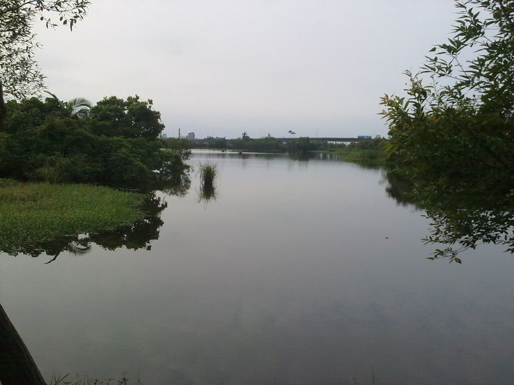 20110530983.jpg