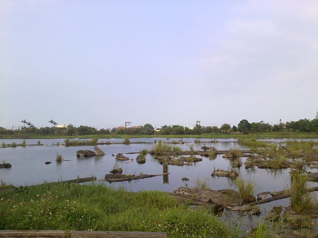 20110530955.jpg