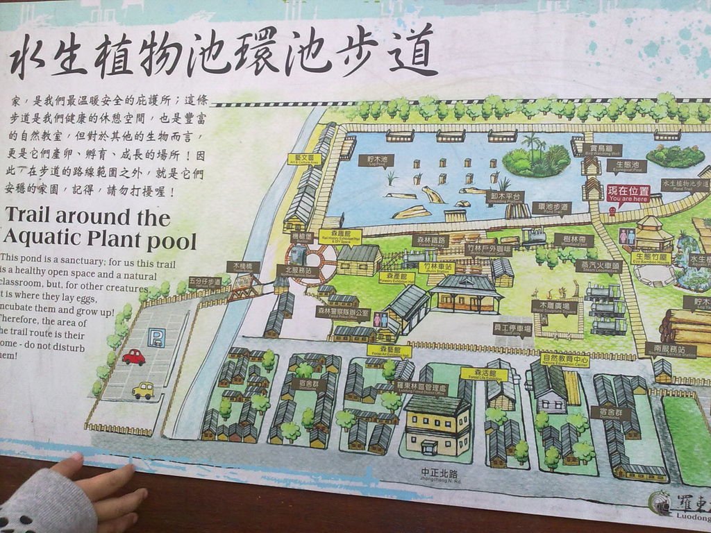 20110530978.jpg