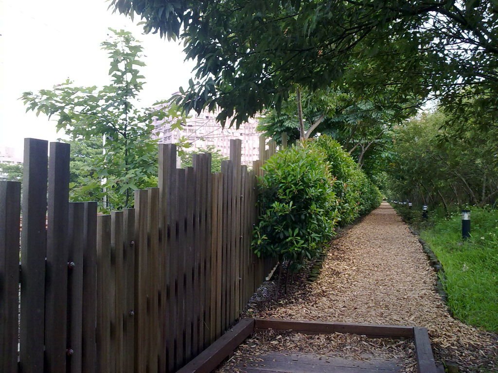 20110530985.jpg