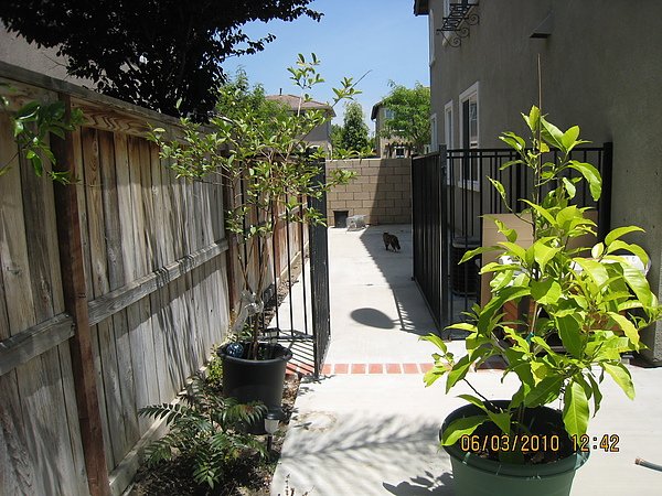 IMG_0028.JPG
