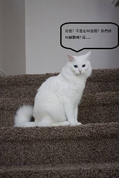 Angel_04142011.jpg
