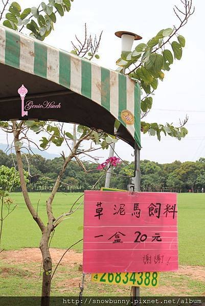 天馬牧場