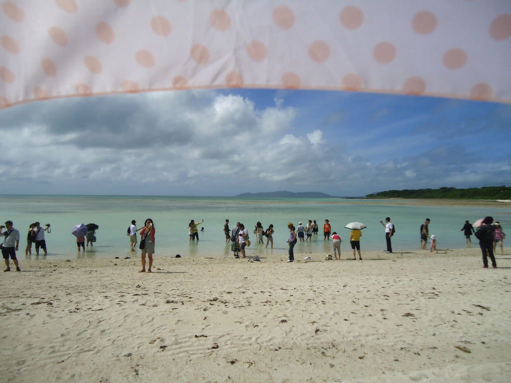 DSC04464.JPG
