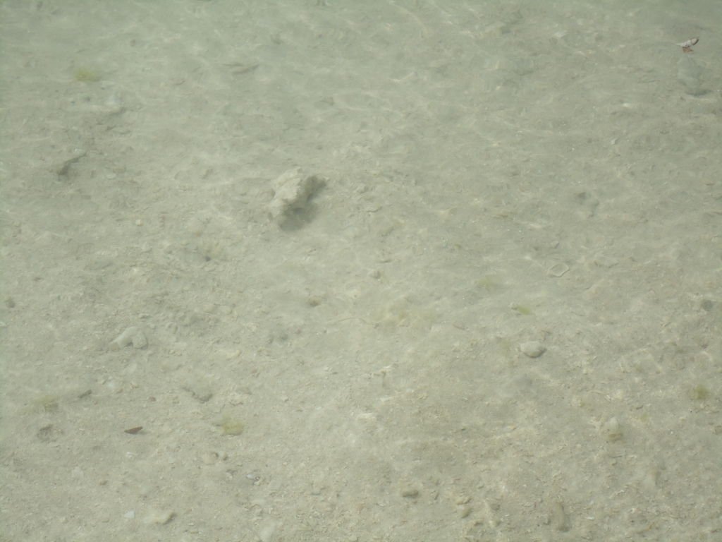 DSC04466.JPG
