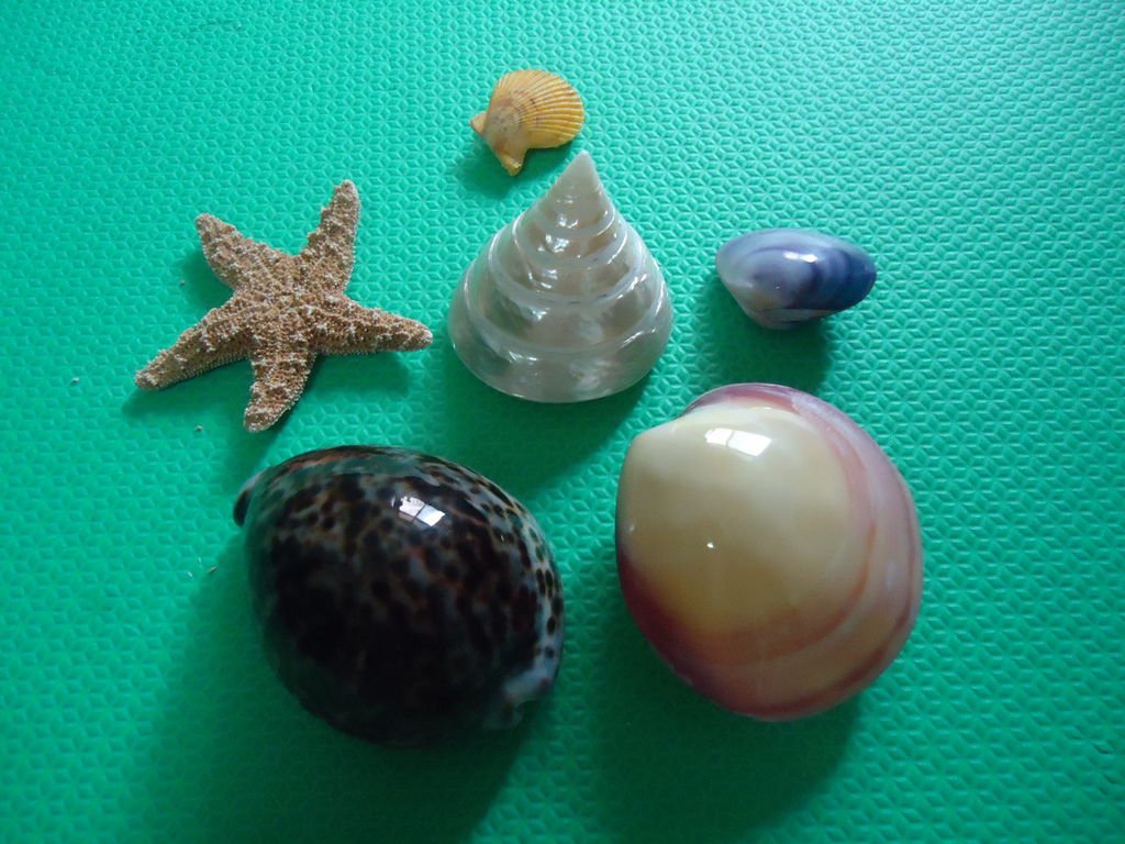 DSC04885.JPG