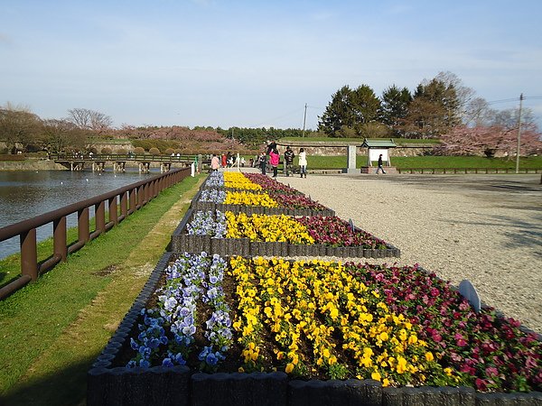 五稜郭公園‧函館