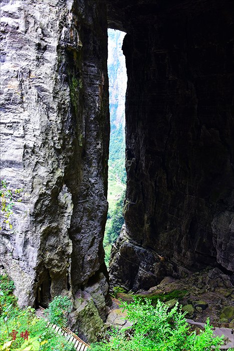 DSC_3560.jpg