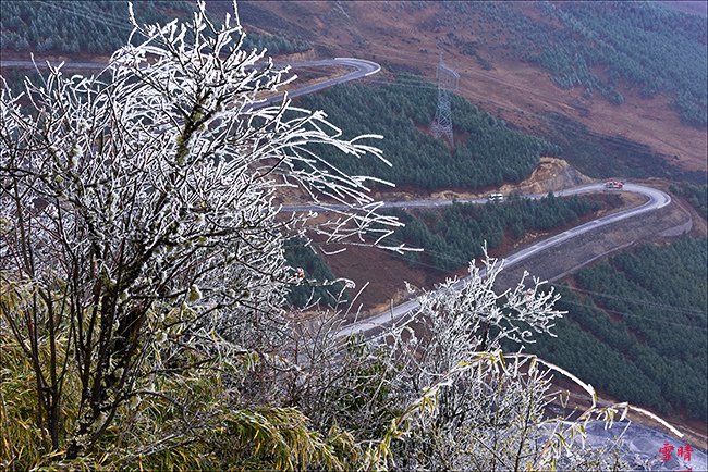_DSC9046.jpg