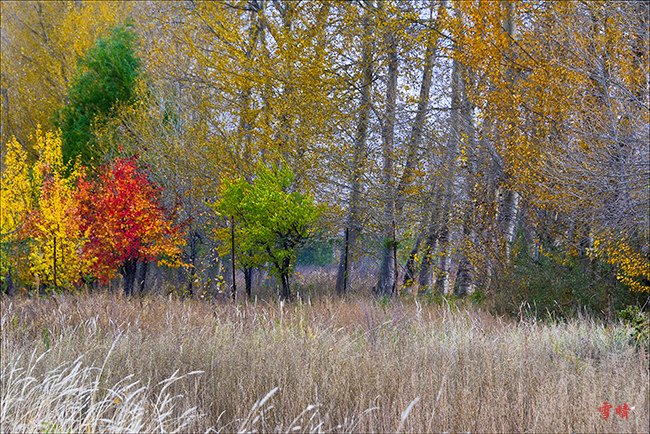 _DSC4508.jpg