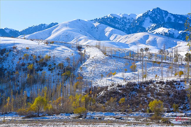 DSC_2879.jpg