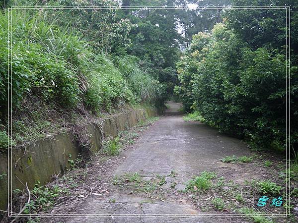 寶山 迴龍步道 A06