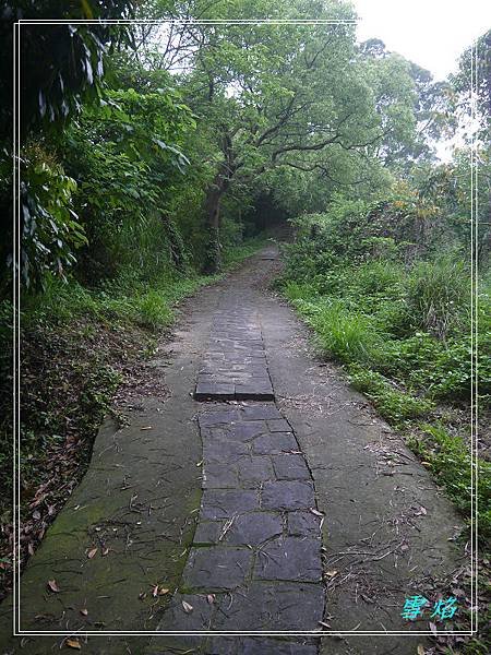 寶山 迴龍步道 A07