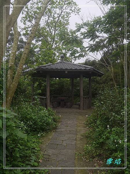 寶山 迴龍步道 A11
