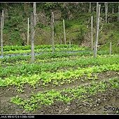 關西石牛山