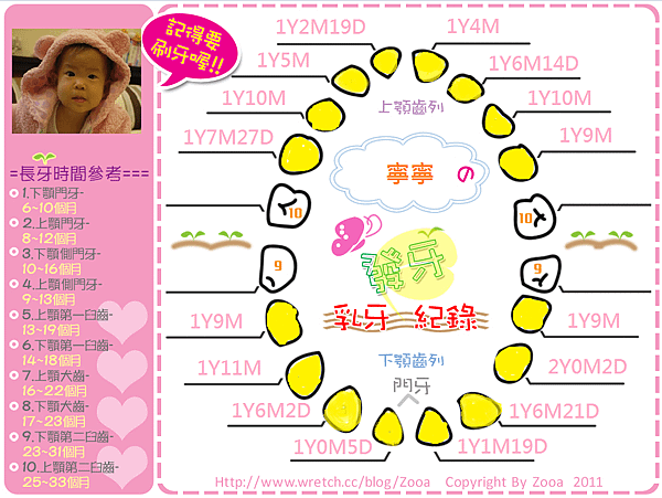 寧寧發芽 16顆