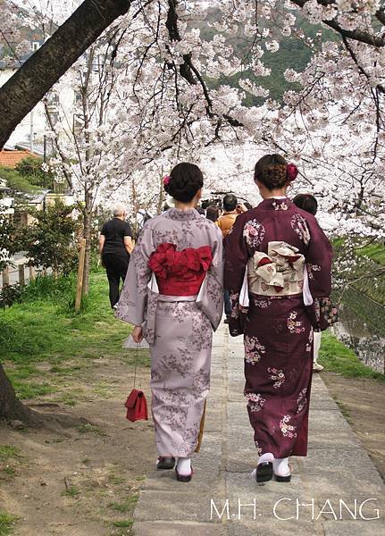 京都‧哲學之道
