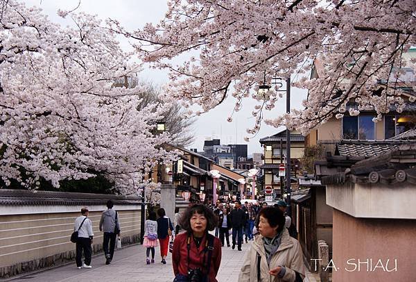 DSC05806-0.jpg