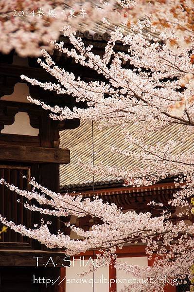 京都‧東寺