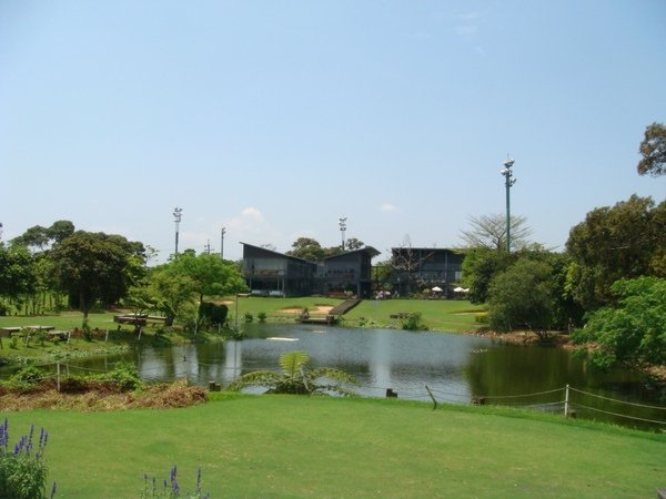 中壢綠風草原 (12).JPG