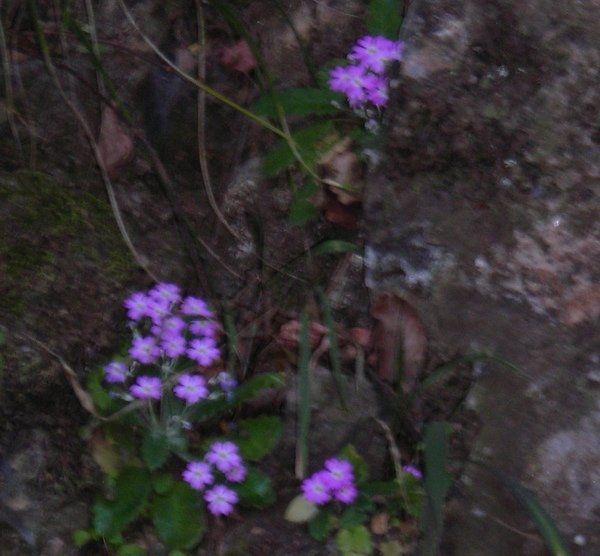 DSCN0389.JPG