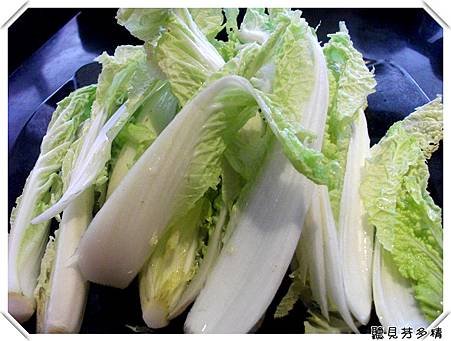 娃娃菜