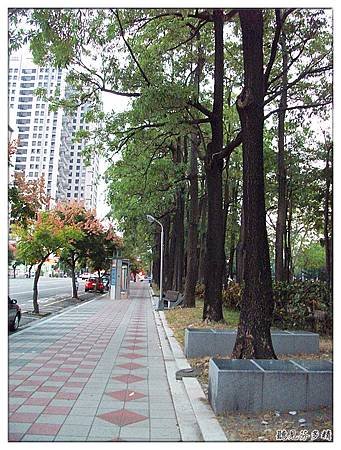 路樹