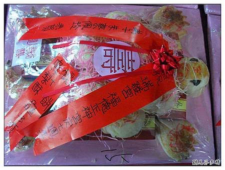 壽龜