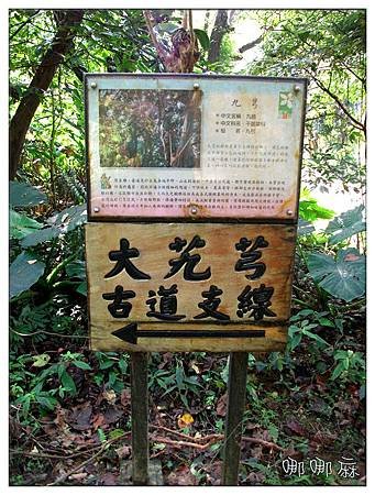 支線指標
