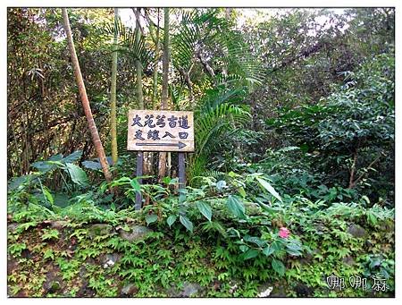 支線入口
