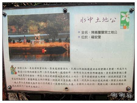 水中土地公介紹