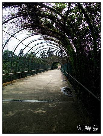 隧道