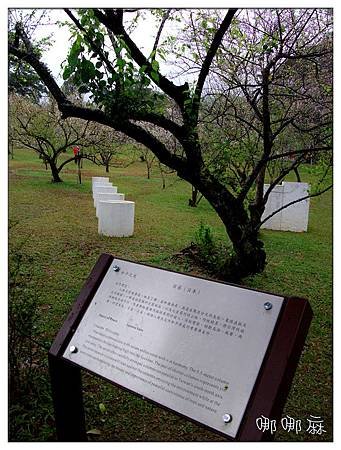 佐藤
