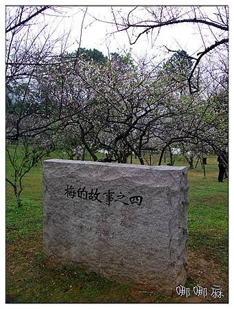 梅的故事