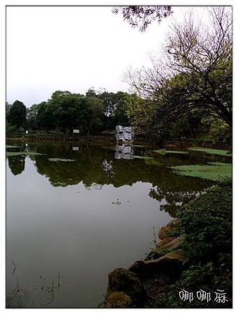 湖邊